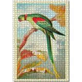 Cakatablo Alexandrine Halka Muhabbet Kuşu 1000 Parça Puzzle Yapboz MDF Ahşap