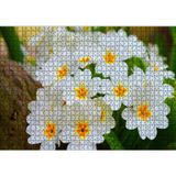 Cakatablo Bayaz Çuha Çiçeği Görseli 1000 Parça Puzzle Yapboz MDF Ahşap