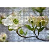 Cakatablo Dallar Beyaz Çiçekler Yeşil Tohumlar Yakın Çekim 1000 Parça Puzzle Yapboz MDF Ahşap