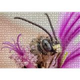 Cakatablo Eflatun Çiçeklerin Arasında Boynuzlu Arı Yakın Çekim 1000 Parça Puzzle Yapboz MDF Ahşap