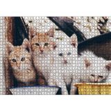 Cakatablo Eski Pencerede Sarı ve Beyaz Yavru Kediler 1000 Parça Puzzle Yapboz MDF Ahşap, P17350-1000