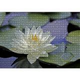 Cakatablo Gölde Nilüfer Çiçeği ve Yaprakları 1000 Parça Puzzle Yapboz MDF Ahşap