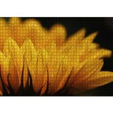 Cakatablo Günebakan Çiçeği Makro Çekim 1000 Parça Puzzle Yapboz MDF Ahşap