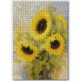 Cakatablo Günebakan Çiçekleri 1000 Parça Puzzle Yapboz MDF Ahşap, P7654-1000