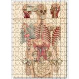 Cakatablo İç Organlar İnsan Anatomisi Görseli 255 Parça Puzzle Yapboz MDF Ahşap