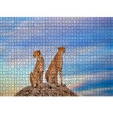Cakatablo Kayalığın Üzerindeki Çita Çifti 1000 Parça Puzzle Yapboz MDF Ahşap