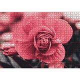 Cakatablo Kırmızı Çiçek ve Damlalar Yakın Plan 1000 Parça Puzzle Yapboz MDF Ahşap
