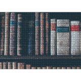 Cakatablo Kitaplıkta Deri Kaplı Kitap Görseli 1000 Parça Puzzle Yapboz MDF Ahşap