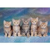 Cakatablo Mavi Zeminde Oturan Sarmanlar ve Tekir 1000 Parça Puzzle Yapboz MDF Ahşap