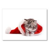 Cakatablo Noel Şapkası Ve Sevimli Yavru Kedi Mdf Ahşap Tablo