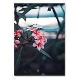 Cakatablo Pembe Plumeria Çiçekleri Flu Arka Plan