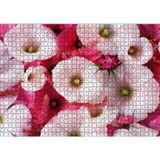 Cakatablo Pembeli Beyazlı Kapriz Çiçeği Görseli 1000 Parça Puzzle Yapboz MDF Ahşap