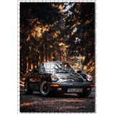 Cakatablo Porsche 911 Cabrio ve Orman Yolu 500 Parça Puzzle Yapboz MDF Ahşap