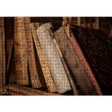 Cakatablo Rafta Eski Antika Kitaplar 1000 Parça Puzzle Yapboz MDF Ahşap