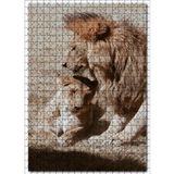 Cakatablo Romantik Aslan Çift 500 Parça Puzzle Yapboz MDF Ahşap