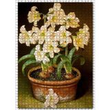 Cakatablo Saksıda Soğanlı Çiçekler Resmi 1000 Parça Puzzle Yapboz MDF Ahşap
