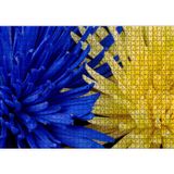 Cakatablo Sarı ve Mavi Çiçekler Yanyana Yakın Çekim 1000 Parça Puzzle Yapboz MDF Ahşap