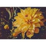 Cakatablo Sarı Yıldız Çiçeği Yakın Çekim 1000 Parça Puzzle Yapboz MDF Ahşap