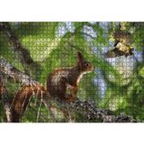 Cakatablo Sincap Kuş Muhabbeti 1000 Parça Puzzle Yapboz MDF Ahşap