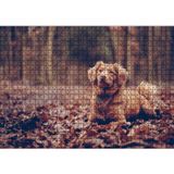 Cakatablo Sonbahar Yaprakları Üzerinde Oturan Kahverengi Köpek 1000 Parça Puzzle Yapboz MDF Ahşap