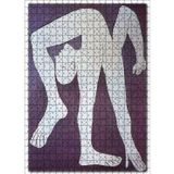 Cakatablo The Acrobat, 1930 by Pablo Picasso 500 Parça Puzzle Yapboz MDF Ahşap