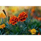 Cakatablo Turuncu Karanfil Çiçeği Görseli 1000 Parça Puzzle