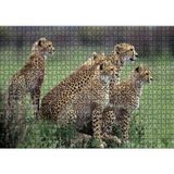 Cakatablo Yavrularına Eğitim Veren Anne Çita 1000 Parça Puzzle Yapboz MDF Ahşap