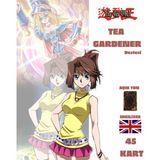 Çakmak Oyun Dükkanı Yu-Gi-Oh! Ingilizce Tea Gardner Destesi 45 Yugioh Kartı - 6x9