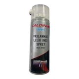 Caldini CLN-10536 400 ml Paslanmaz Çelik Inox Sprey