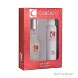 Caldion Bayan Parfüm 50Ml Edt+Caldion Deodorant 150 Ml Kofre