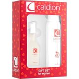 Caldion Classic Kadın Parfüm + Deodorant Parfüm Set 50 ml EDT Hediyelik Tipi Uzun Süre Kalıcı