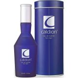 Caldion Edt 100 Ml Erkek Parfümü