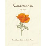 California State Flower Notebook, Journal, Paperback, College Ruled: California Golden Poppy, 8.5 x 11"