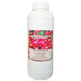Çalıkoğlu 1 lt Bitkisel Menengiç Yağı