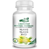 Çalıkoğlu Bitkisel Ürünler Ylang Ylang Yağı 500 gr