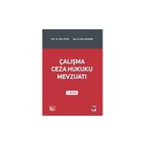 Çalışma Ceza Hukuku Mevzuatı - Saim Ocak