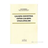 ÇALIŞMA HAYATINDA ESNEK ÇALIŞMA UYGULAMALARI - LÜTFİ İNCİROĞLU