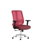 Calitte Spark Ofis Sandalyesi Ergonomik Sırt Destekli Çalışma Koltuğu Başlıksız File Sırt (Kırmızı)