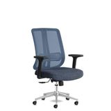 Calitte Spark Ofis Sandalyesi Ergonomik Sırt Destekli Çalışma Koltuğu Başlıksız File Sırt (Mavi)