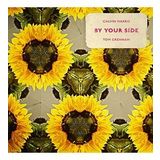 Calvin Harris By Your Side - Single Plak