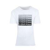 Calvin Klein 40IC836-540 Erkek T-shirt
