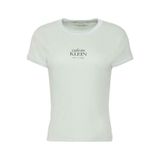 Calvin Klein Bisiklet Yaka Basic T-Shirt, XS, LV047F240G, Mint, Kadın