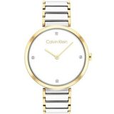 Calvin Klein CK25100134 Kadın Kol Saati