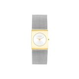 Calvin Klein CK25100139 Kadın Kol Saati