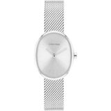 Calvin Klein CK25100173 Kadın Kol Saati - Metalik Gri
