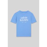 Calvin Klein Erkek Çocuk Mavi Tişört
