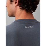 Calvin Klein Erkek Gri Calvin Klein Ss 20S Calvınkleın T, Ceg Gri Erkek T-Shirt - XL