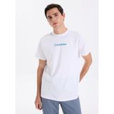 Calvin Klein Erkek Günlük Tişört