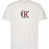 Calvin Klein Erkek Normal Kalıp %100 Pamuklu Logo Desenli Kısa Kollu Beyaz T-Shirt LV14RE829G-YBH - XL