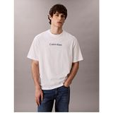 Calvin Klein Erkek Normal Kalıp Yuvarlak Yaka Pamuklu Logo Detaylı Kısa Kollu Beyaz T-Shirt LV04LD230G-YAF - X
